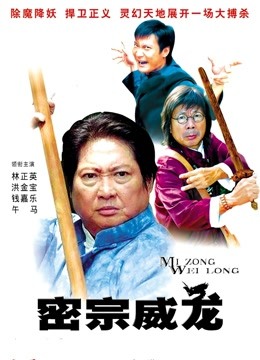 密宗威龙封面图