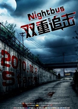 双重追击（普通话）封面图