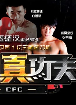 中国真功夫封面图