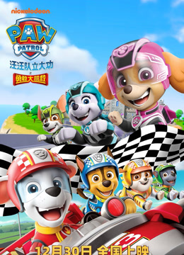 汪汪队立大功之勇敢大营救封面图