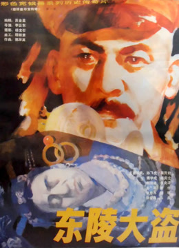 东陵大盗一封面图