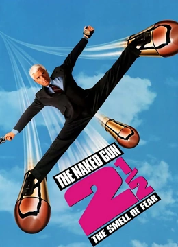 白头神探2封面图