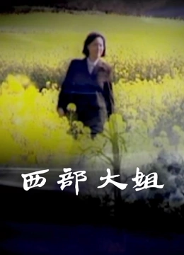 西部大姐封面图