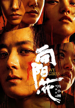 向阳:花封面图