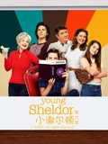 小谢尔顿6封面图