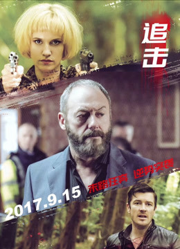 追击（普通话）封面图