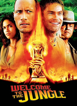 丛林奇兵2003封面图