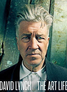 大卫林奇:艺术生涯封面图