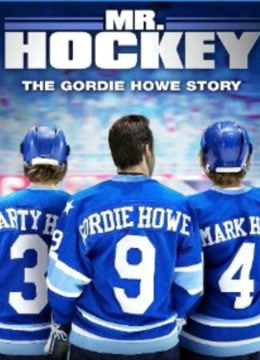 冰球之王封面图