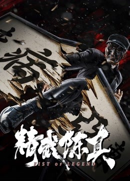 精武陈真封面图