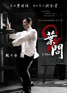 叶问2：宗师传奇封面图