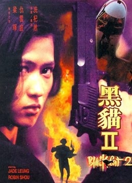 黑猫2封面图