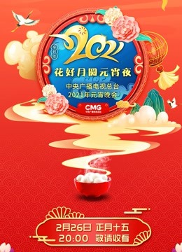 202央视元宵晚会封面图