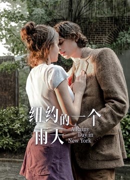 纽约的一个雨天（普通话）封面图
