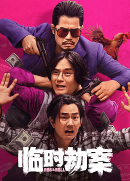 临时劫案粤语封面图