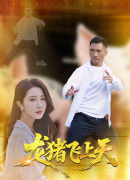 龙猪飞上天封面图