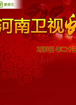 河南卫视春晚封面图