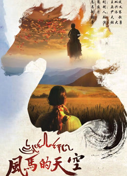 风马的天空封面图