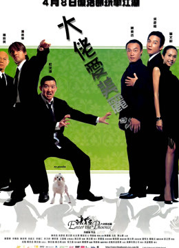 大佬爱美丽封面图