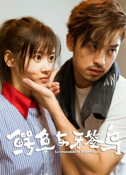 鳄鱼与牙签鸟D5D封面图