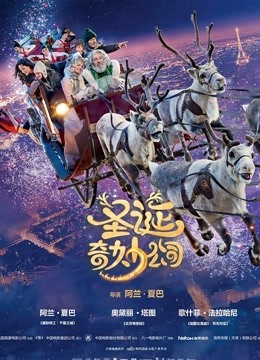 圣诞奇妙公司（普通话）封面图