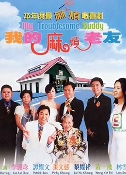 我的麻烦老友封面图