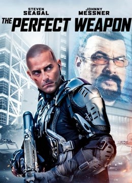 完美武器封面图