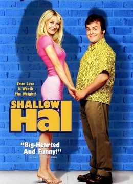 庸人哈尔2001封面图