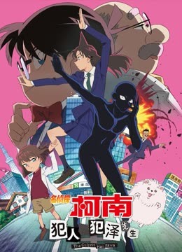 名侦探柯南犯人犯泽先生普通话封面图