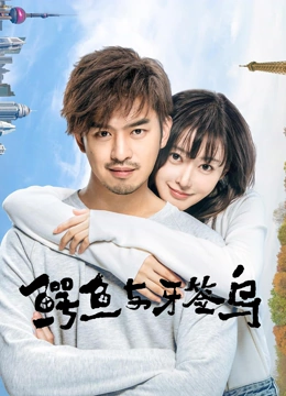 鳄鱼与牙签鸟TV版封面图