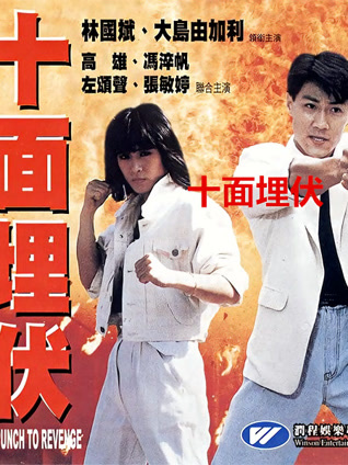 十面埋伏1989封面图