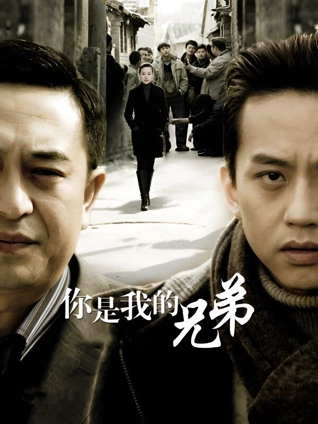 你是我的兄弟封面图