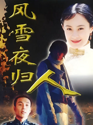 风雪夜归人封面图
