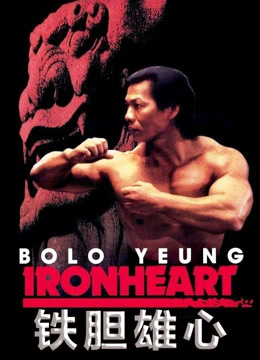 铁胆雄心封面图