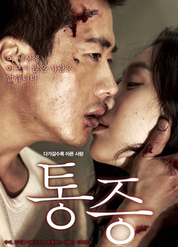 痛症（2011）封面图