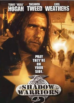 影子勇士2（普通话）封面图