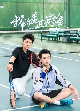 我的盖世英雄2封面图