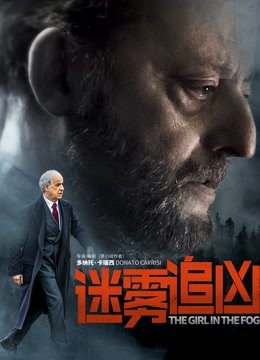 迷雾追凶（普通话）封面图