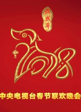 208央视春晚封面图