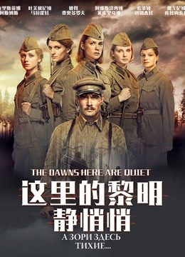 这里的黎明静悄悄封面图