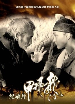 龙门飞甲纪录片封面图