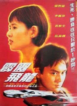 霹雳飞龙封面图