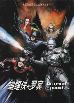 蝙蝠侠与罗宾（普通话）封面图