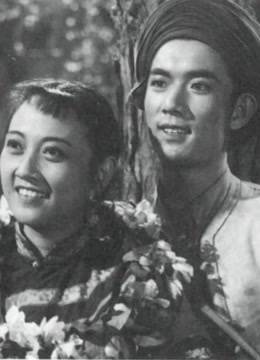 神秘的旅伴1955封面图