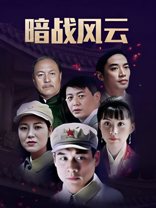 暗战风云丁海峰封面图