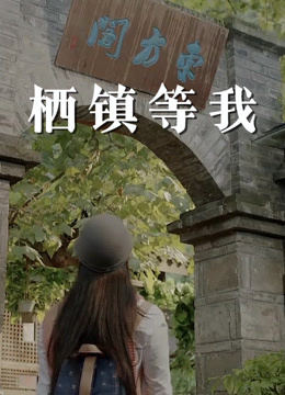 栖镇等我封面图