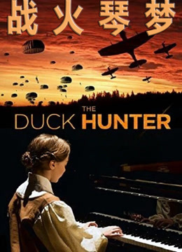 战火琴梦封面图