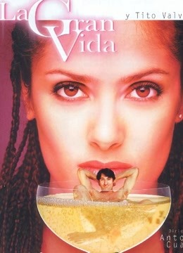 灵欲的乐章封面图