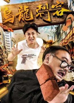 乌龙刺客封面图