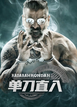 单刀直入封面图